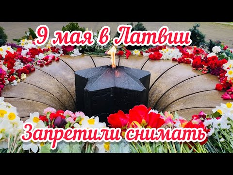 Видео: Vlog💚РЕАКЦИЯ ПОЛИЦИИ НА ЭТУ ПЕСНЮ  // ДАУГАВПИЛС // ЛАТВИЯ //