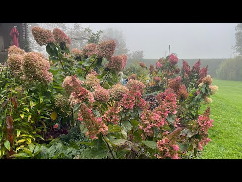 Видео: ЗАКРЫТИЕ СЕЗОНА. Прогулка по осеннему саду. 16.10.24. Швейцария