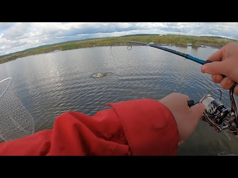 Видео: Как мы выиграли чемпионат Невьянска в лодке (оз. Аятское)