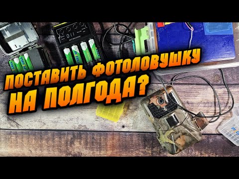 Видео: Как правильно запитать фотоловушку?