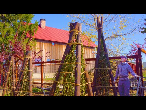 Видео: Оградите цветущие растения бревнами до того, как выпадет снег.