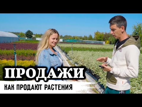 Видео: Фабрика растений Никитенко. Единая служба продаж растений - Гарден Маркет.
