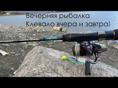 Видео: Вечерняя рыбалка ищем СУДАКА на глубине!