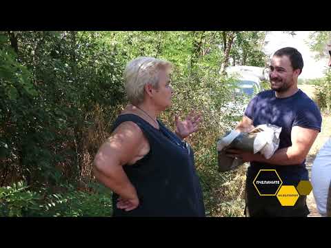 Видео: Пчелините на България: В един от пчелините на д-р Ивайло Иванов – баща и син