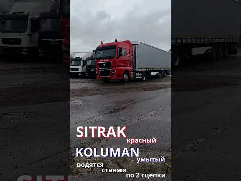 Видео: Sitrak красный Koluman шторный. Продано! Карком Сервис. Самая лучшая техника! #sitrak #полуприцеп