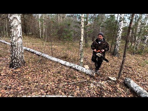 Видео: Жизнь в деревне, заготовка дров