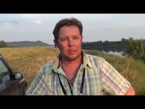 Видео: Рыбалка на поплавок, р. Ока
