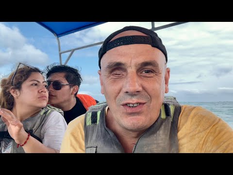 Видео: КИТЫ ОБЕД И ПРОКЛЯТЬЕ