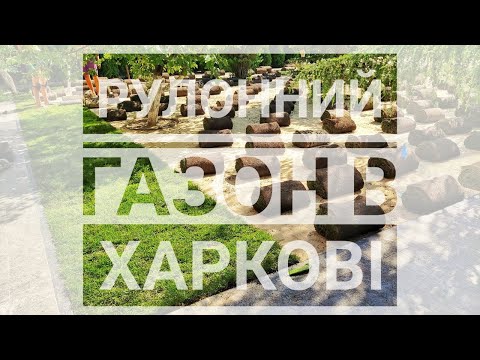 Видео: Ландшафтний дизайн в Харкові та Харківській області