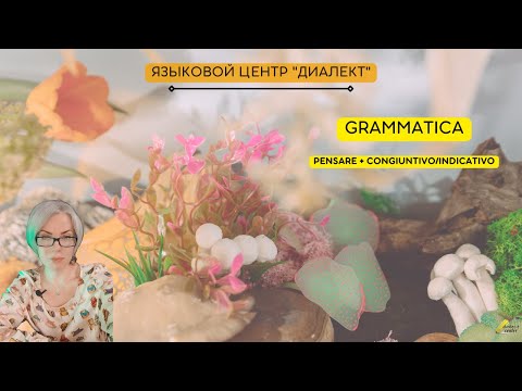 Видео: Минутка итальянского: pensare + congiuntivo/indicativo
