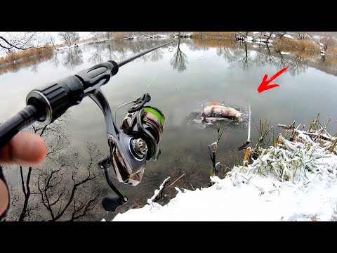 Видео: РЫБАЛКА ЗИМОЙ 2022 на УЛЬТРАЛАЙТ!!! ДА ЭТО же ЖОР!!! НЕ ОЖИДАЛ ТАКОГО ЗАКРЫТИЯ СЕЗОНА...