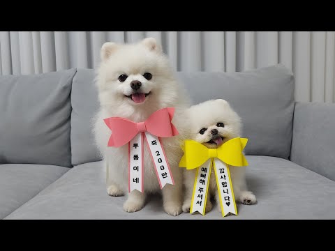 Видео: У нас 2 млн. подписчиков! Спасибо за вашу любовь!