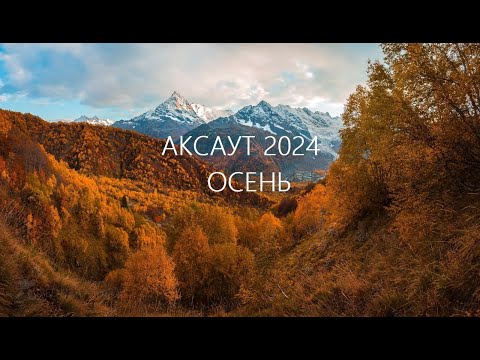 Видео: Аксаут 2024 Осень