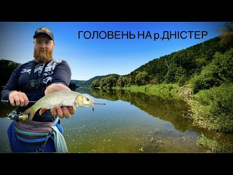 Видео: РИБАЛКА НА р.ДНІСТЕР|ГОЛОВЕНЬ