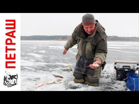 Видео: Ловля ПЛОТВЫ ЗИМОЙ Зимняя рыбалка на мормышку Видео Уроки