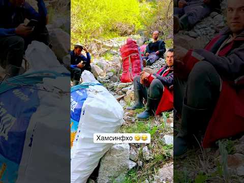 Видео: Чикри чини рафтем 😊 Ромит #2025 #fazlmedia #youtubeshorts