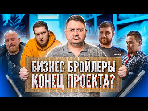 Видео: ЧТО СТАЛО С БИЗНЕС БРОЙЛЕРАМИ? / ВСЯ ПРАВДА ПОЧЕМУ УЧАСТНИКИ НЕ ВЫХОДЯТ НА СВЯЗЬ!?