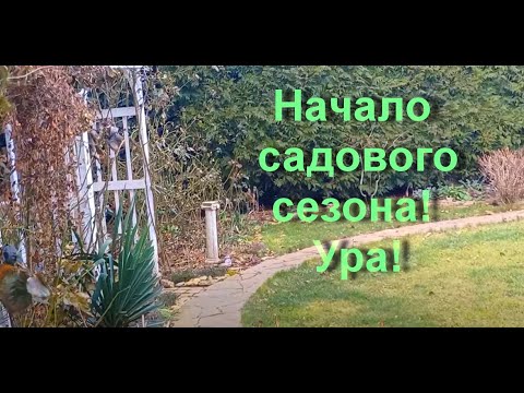 Видео: Убрали плющ, обрезали сирень и съездили на КУЯЛЬНИК.
