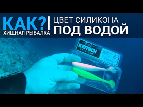 Видео: Цвета силикона KEITECH ПОД ВОДОЙ. Как меняется цвет приманки на разной глубине?