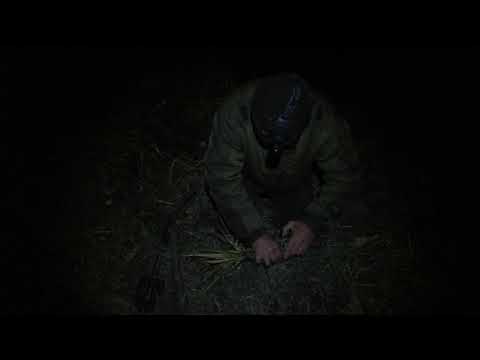 Видео: охота на барсука капканами!!! трофей разочаровал !!!