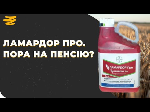 Видео: ЛАМАРДОР ПРО - НОРМ ПРОТРУЮВАЧ? ЧИ ПОРА НА ПЕНСІЮ?