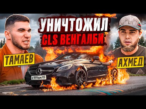 Видео: ТАМАЕВ УНИЧТОЖИЛ CLS ВЕНГАЛБИ! Конфликт с Ахмедом?!
