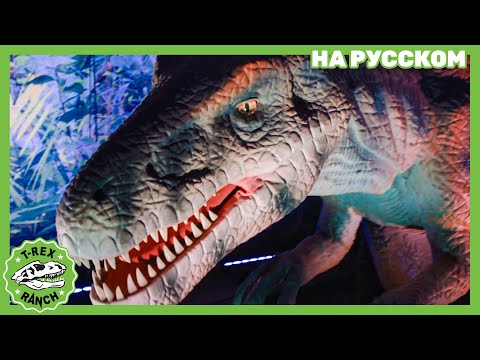 Видео: Погоня за Гигантскими Динозаврами | Ти-рексы - Динозавры для детей