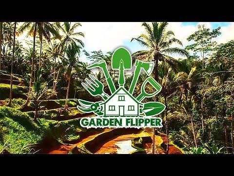 Видео: ТРОПИКИ НА ЗАДНЕМ ДВОРЕ ► Garden Flipper #10