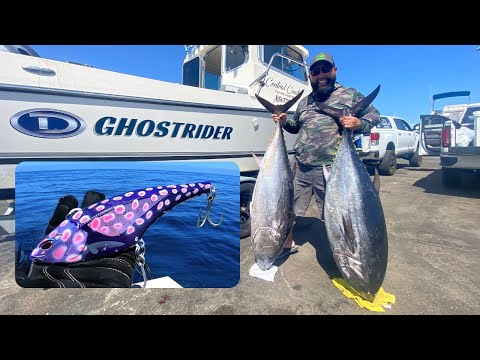 Видео: История успеха Nomad Madmacs: как мы выловили 250 фунтов голубого тунца!