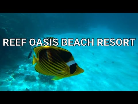 Видео: Риф Оазис Бич Резорт зимой❄ Ответы на комментарии🙂