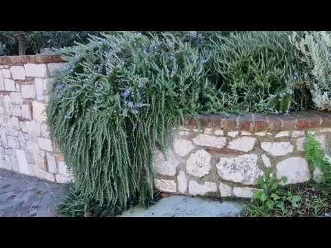 Видео: Аутентичная горная деревня. Итальянская провинция 