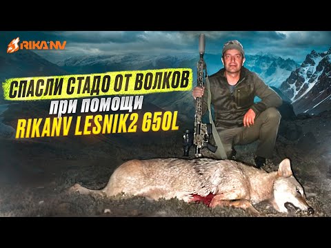Видео: Спасение стада от волков при помощи RikaNV Lesnik2 650L