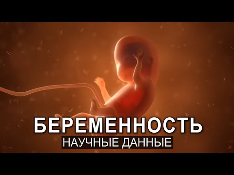 Видео: Почему ТВОЙ IQ не 140, а кукуха вот-вот улетит