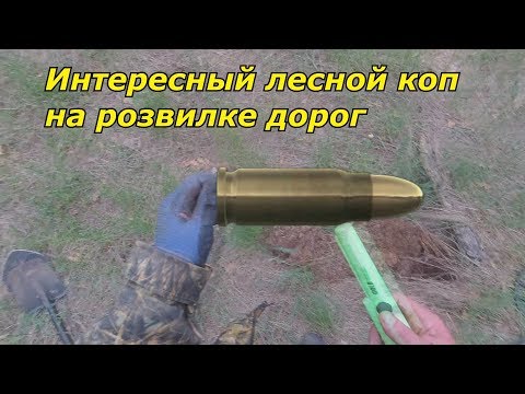 Видео: ИНТЕРЕСНЫЙ ЛЕСНОЙ КОП НА РОЗВИЛКЕ ДОРОГ №88