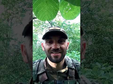 Видео: Святість #12 -  Назар Старжинський