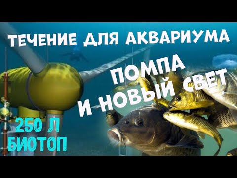 Видео: Течение в аквариуме для диких карпов и бычков кругляков. Мой биотоп в 250 литров.
