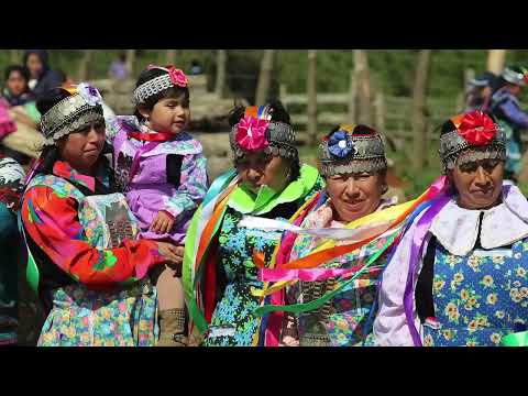 Видео: Лекции для сна🌛 😴.  Индейцы : Кто они и откуда пришли
