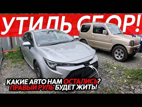 Видео: КАКИЕ АВТОМОБИЛИ ПОКУПАТЬ С НОВЫМ УТИЛЬ СБОРОМ⁉️ПРАВЫЙ РУЛЬ БУДЕТ ЖИТЬ🔥АВТО ИЗ ЯПОНИИ ОТ 500т РУБЛЕЙ