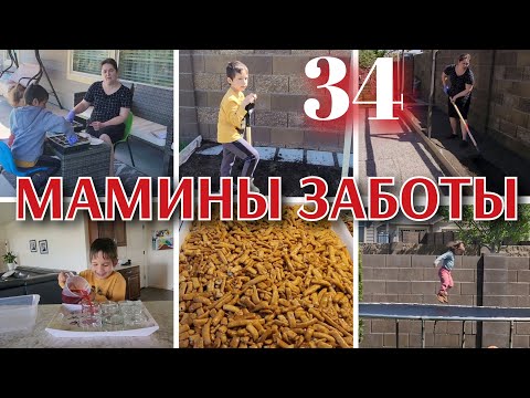 Видео: НАЧАЛО ОГОРОДА●РЕЦЕПТ ЧАК-ЧАКА●БУДНИЕ ДНИ МНОГОДЕТНОЙ МАМЫ#●34