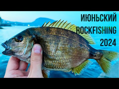 Видео: Июнь -Лето 2024, Рыбалка на черном море. Ультралайт в деле.