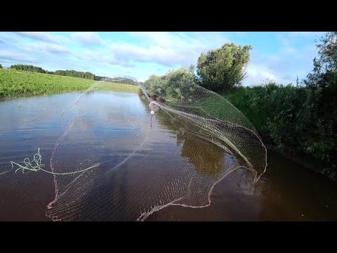 Видео: Закинули накрывушку в речку переплюйку и сильно были удивлены