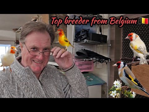 Видео: Отличный заводчик всех видов птиц Марк из Бельгии 🇧🇪