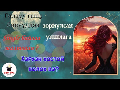 Видео: [Хайрын мэргэ] Single-чүүддээ зориулсан уншлага 🫂Шинэ харилцаа үүсэх боломж?⭐️Single байгаа шалтгаан