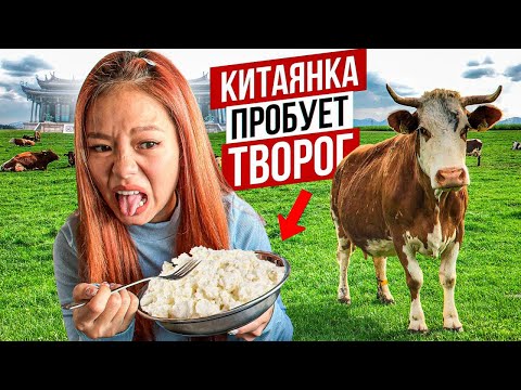 Видео: Моя Жена Пробует Творог АВТОДОМ #16
