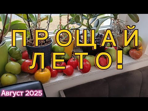 Видео: 35. Лето прощай! Впервые за 26 лет жизни в Германии случилось это!