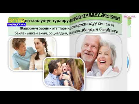 Видео: 8-класс  | Биология |  Адамдын ден-соолугу жана анын бузулушунун алдын алуу