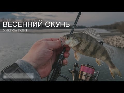 Видео: Микроджиг на Кубани. Окунь на ультралайт🎣 Выгулял Graphiteleader Corto Prototype 23GCORPS-642UL-HS