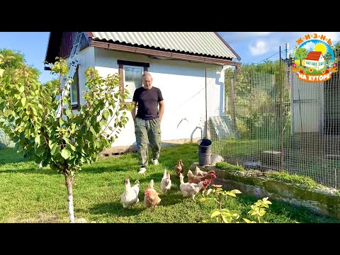 Видео: Создаём уют в деревенском доме. Что пошло не так с оконными откосами?