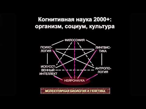 Видео: Мария Фаликман. Чем занимается когнитивная наука?