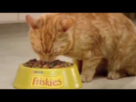 Видео: в память о максе который бросил сыркис